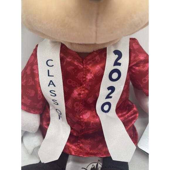 Disney Parks Minnie Mouse Graduation Class 2020 Plush Stuffed Animal New w Tag - Picture 2 of 16